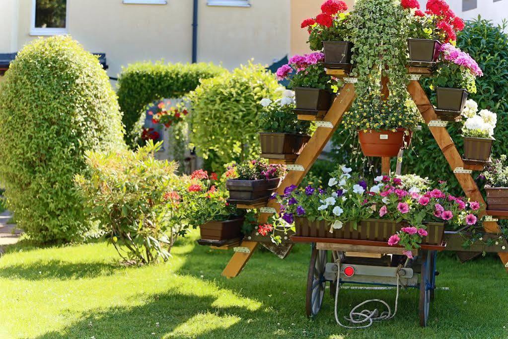 Ferienwohnung Haus Feig Geyer Dış mekan fotoğraf