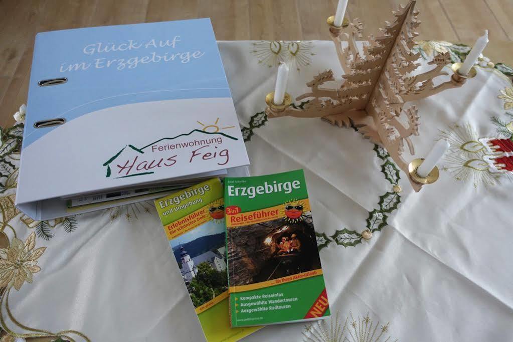 Ferienwohnung Haus Feig Geyer Dış mekan fotoğraf